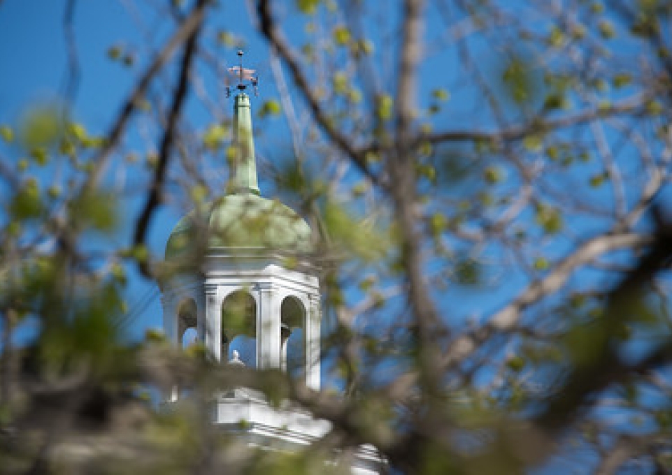 Photo of Rockwell Tower taken through tree branches in spring